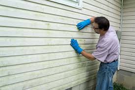 Best Vinyl Siding Installation  in Grand Marais, MN